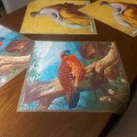 مخمل آنتیک|تابلو، نقاشی، عکس|تهران, استخر|دیوار