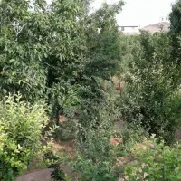 ویلا استخر وحیاط دار|فروش خانه و ویلا|قاهان, |دیوار