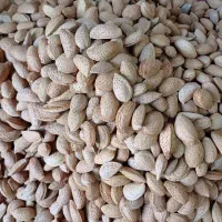 بادام شیرین|خوردنی و آشامیدنی|یزد, |دیوار