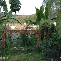 اجاره ویلا دو خوابه و تک خوابه جنگلی ویو دار|اجارهٔ کوتاه‌مدت ویلا و باغ|چالوس, |دیوار