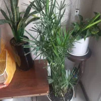 گلدان ایتالیایی همراه با گل‌های زیبا|گل مصنوعی|ملک‌آباد, |دیوار