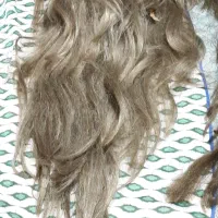 کلاه گیس طبیعی زنانه|آرایشی، بهداشتی، درمانی|فردیس, شهرک ۱۱۰|دیوار