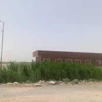 3200 متر زمین کشاورزی در محمد آباد قرچک|فروش زمین و ملک کلنگی|قرچک, محمد آباد|دیوار