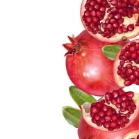 سفارش کلی شمع یلدا جشن یلدایی|صنایع دستی و سایر لوازم تزئینی|رشت, منظریه|دیوار