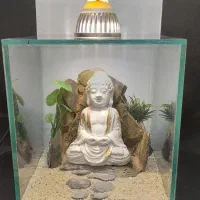 آکواریوم فایتر|ماهی|تهران, توحید|دیوار