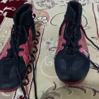 کفش کشتی|کیف، کفش، کمربند|اردبیل, |دیوار