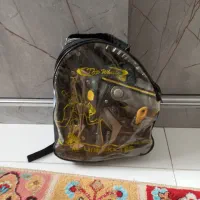 کفش اسکیت
