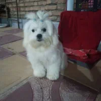 هشت ماهه مهربون خوش قیافه