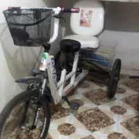 سه چرخه بزرگسال