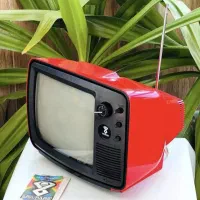 تلویزیون کلکسیونی