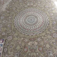 ۱۲متری درحدنو
