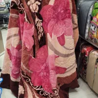 گرم و نرم چون ...