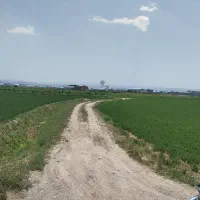 راهنمایی کنید