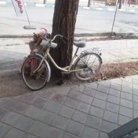 دوچرخه۲۴|دوچرخه، اسکیت، اسکوتر|شاهین‌شهر, نبوت|دیوار