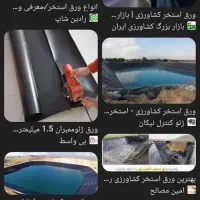 ایزگام و ورق استخر