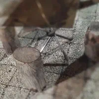 و۱ عددفرغون.گاز۵شعله رومیزی.تنه درختو|موبایل|کاشان, فین بزرگ|دیوار