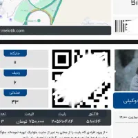 بلیط کنسرت علی زندوکیلی