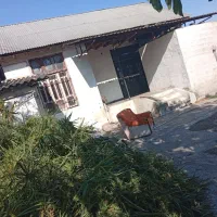 خونه کلنگی با زمین ۵۰۰ متری(اب برق گاز تلفن نصب)