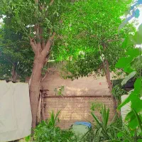 ویلایی دو طبقه با دو سند ۶ دانگ مستقل ، ملکی|فروش خانه و ویلا|شیراز, درکی|دیوار