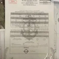 گول لنج سمبوک چوبی فعال با ساماندهی