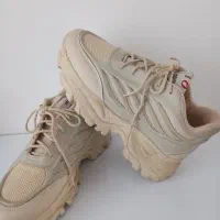 کفش نو|کیف، کفش، کمربند|تربت‌حیدریه, مظفریه|دیوار