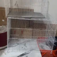 قفس بزرگ عروس هلندی|لوازم جانبی حیوانات|کرمان, |دیوار