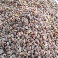 کشمش بیدانه