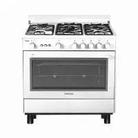 گاز مدل اسنوا