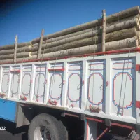 خرید چوب|خدمات باغبانی و درختکاری|الشتر, |دیوار