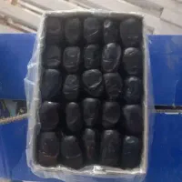 خرما دو ردیف