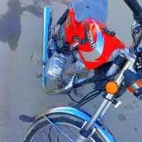 ۹۵تیز پر توس قیمت 150000