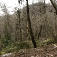 مشارکت-زمین-267-متر-دریاگوشه