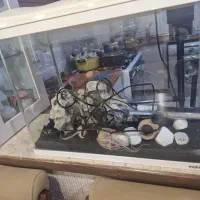 اکواریوم شیشه خم|ماهی|کرج, شهرک امیر المومنین|دیوار