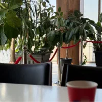 استخدام ویزیتور برای شرکت بازرگانی