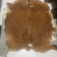 فرش پوست گاو|فرش|تهران, حشمتیه|دیوار