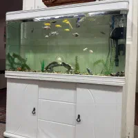 اکواریوم شرکتی عرض ۱۲۰