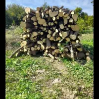 خرید چوب و برش انواع درختان با نازلترین قیمت|خدمات باغبانی و درختکاری|شیراز, دارالرحمه|دیوار