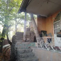 سوییت جنگلی مبله فرد متعهد و موجه