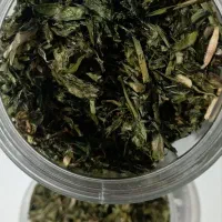 پیازو (تره کوهی) اصل بوانات|خوردنی و آشامیدنی|شیراز, شهرک نیروی انتظامی|دیوار