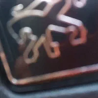 دوعدد خروس فریح