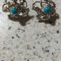 یه جفت گوشواره و یه تو گردنی رنگ ثابت