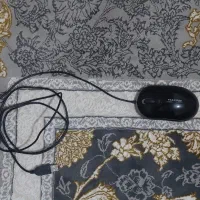 موس باسیم فراسو