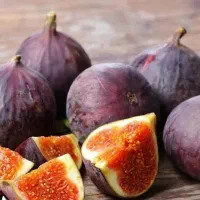 انجیر سه فصل|خدمات باغبانی و درختکاری|شیراز, فرگاز|دیوار