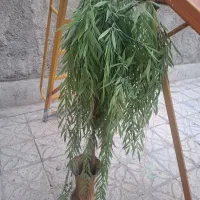 گل مصنوعی همراه با گلدان،|گل مصنوعی|شهرکرد, |دیوار