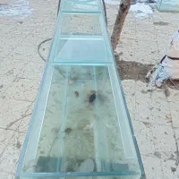 آکواریوم دو متری و شیشه خم|ماهی|کبودرآهنگ, |دیوار