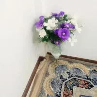 کتونی ویک گل با گلدون|کیف، کفش، کمربند|پاکدشت, پاکدشت (مامازند)|دیوار