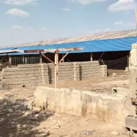 گاوداری ۴هزار متری به همراه باغ۶هزار متری|فروش دفتر صنعتی، کشاورزی، تجاری|ایوان, |دیوار
