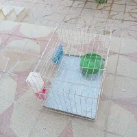 قفس کبوتر جفتی