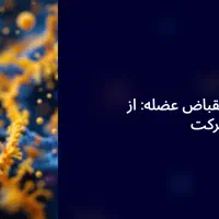 طراحی حرفه ای پاورپوینت|خدمات آموزشی|قم, پردیسان|دیوار
