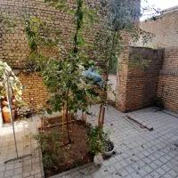 همکف/۱۲۰ متری /حیاط اختصاصی /تخلیه|اجارهٔ آپارتمان|مشهد, یوسفیه (شهرک غرب)|دیوار